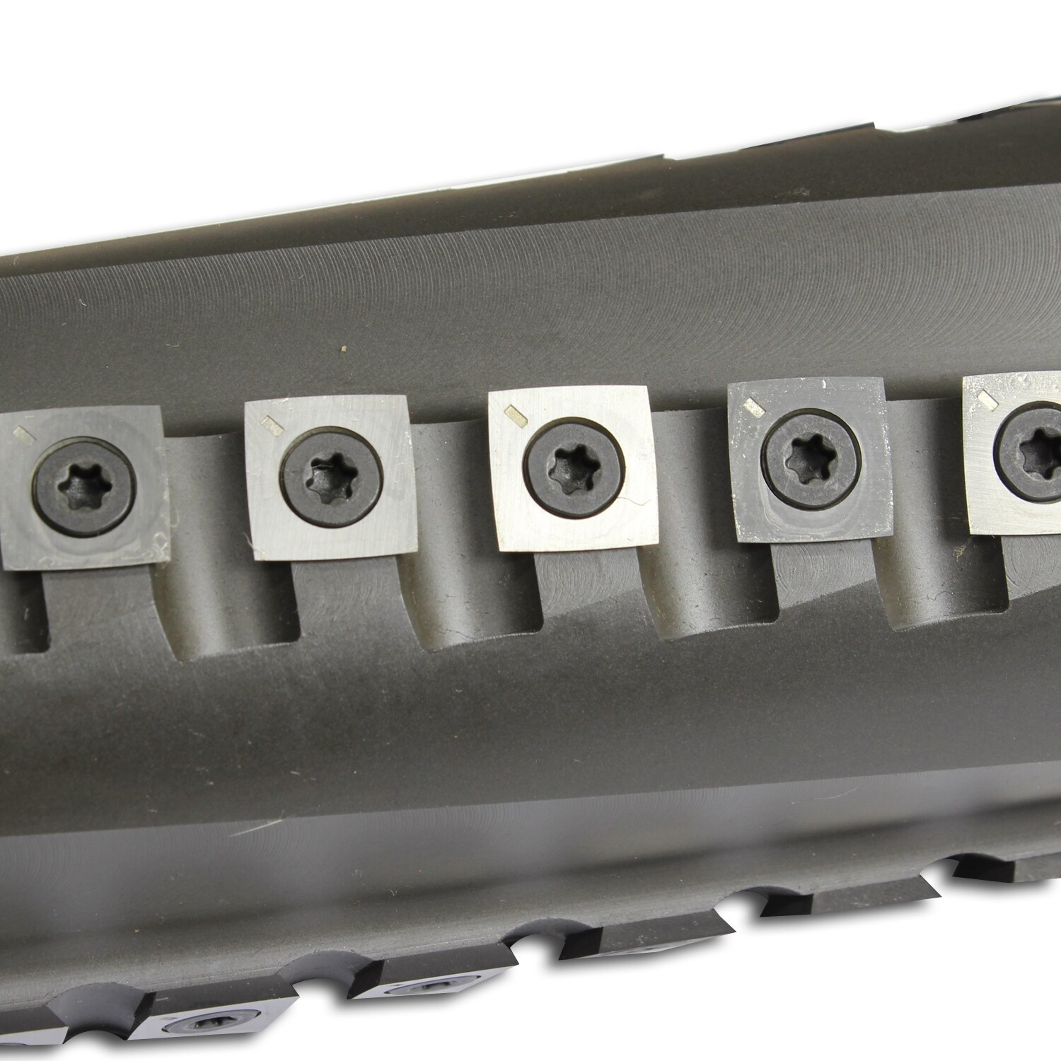 Desbastadora de Banco Baileigh Industrial 10-Amp 8 pulgadas BA9-1021091