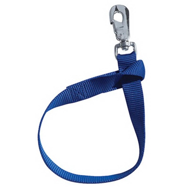 Correa para cubeta azul Daretocare 35-7065-BL 1 x 22 pulgadas - DA2670869