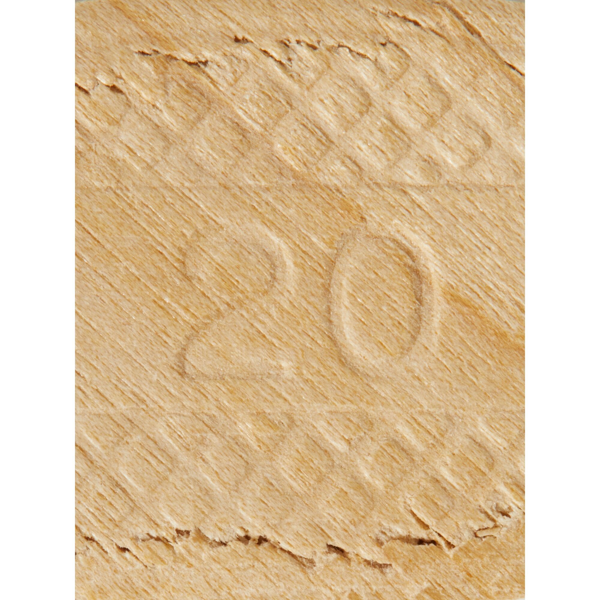 Tubo DEWALT de 100 galletas de tamaño No. 20 DW6825