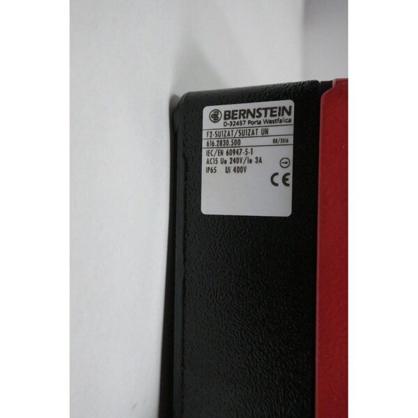 Interruptor de pie de seguridad Bernstein - 6162830500 F2-SU1ZAT/SU1ZAT
