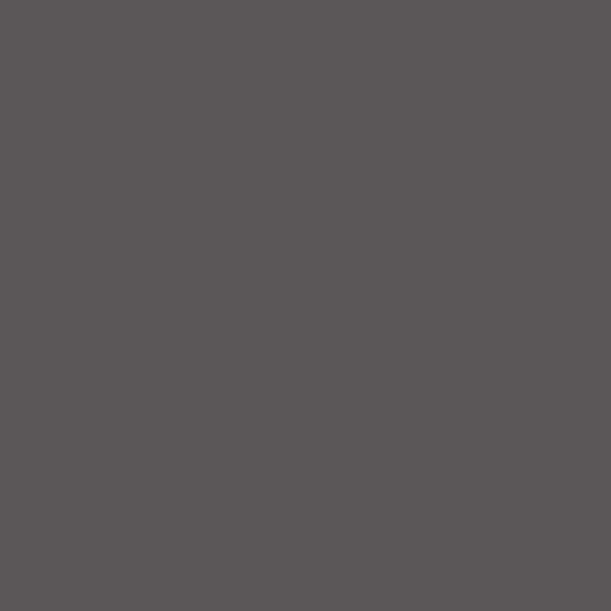Gabinete de almacenamiento de utilidad independiente de compuesto de madera color gris grafito/gris grafito Ameriwood Home Camberly 23.7 pulgadas de ancho x 74.29 pulgadas de alto 2579408COM