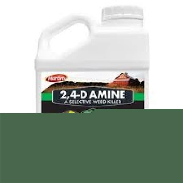 Control Solutions 82210011 24D Amine; 1 gal - Paquete de 4 - 82210011
