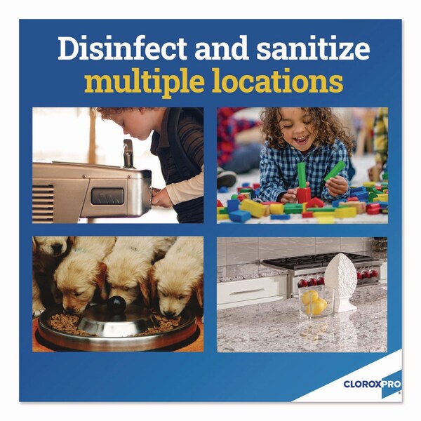 Clorox Anywhere Desinfectante Diario y Sanitizante, sin fragancia, Botella de aerosol de 32 oz - CLO01698