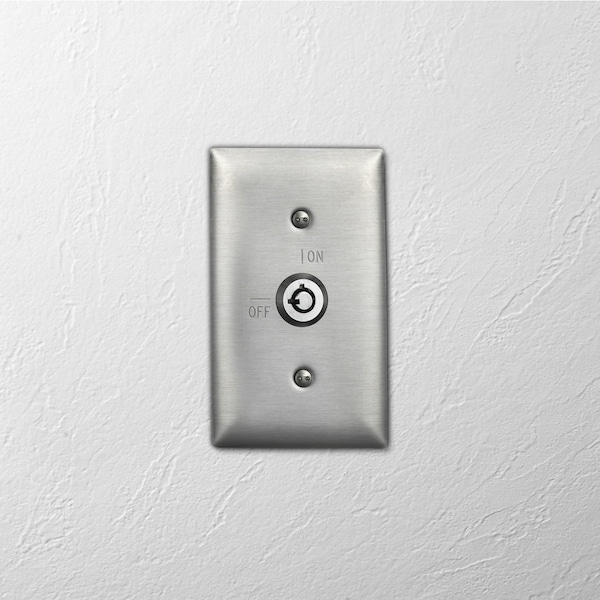 Placas de pared con apertura de seguridad Hubbell Wiring Device-Kellems, Número de gangs: 1 Acero inoxidable, Acabado cepillado, Plata - SS12RKL
