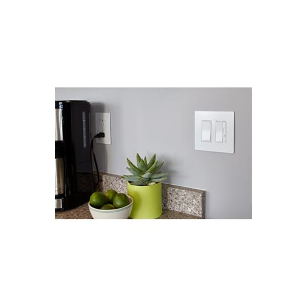 Placa de interruptor Zoro Select, Número de gángs: 2 Plástico, Acabado liso, Blanco - RWP262W
