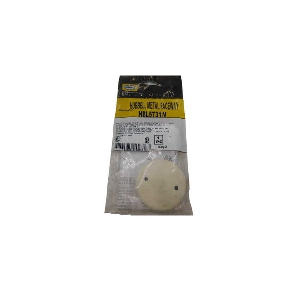 Hubbell Wallplates and Accessories Blank Cover, 2.4'' x 0.24'', Ivory, Steel, Blank Cover for HBL500/HBL750 - HBL5731IV