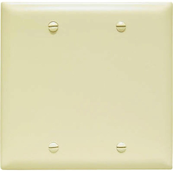 Placa de pared en blanco de nylon Nextgen TP23ICC12, 2 Gang, marfil - NE698559