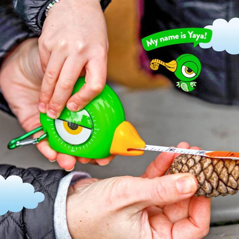 Cinta métrica para niños con diseño de aves de 250 cm (8 pies) - HF-TT-1002