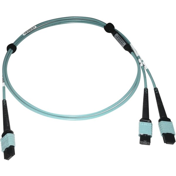 Cable de Fibra Óptica Mmf 24F Mtp/Mp, N846D-01M-24BAQ - N846D-01M-24BAQ de Tripp Lite