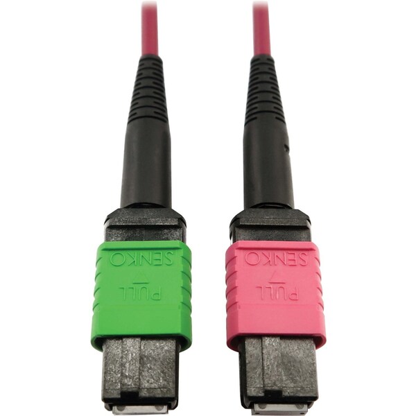 Cable de fibra óptica multimodo 400G OM4 M de Tripp Lite, N846D-05M-16BMG - N846D-05M-16BMG