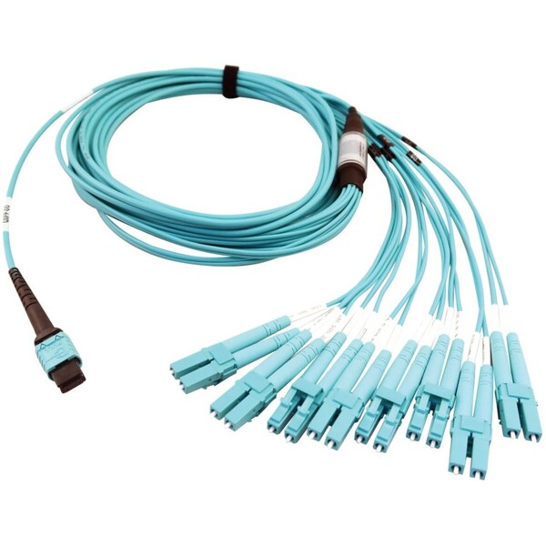 Tripp Lite Mmf Fbr Optic Brkout Cable 24F, N846D-05M-24CAQ - N846D-05M-24CAQ