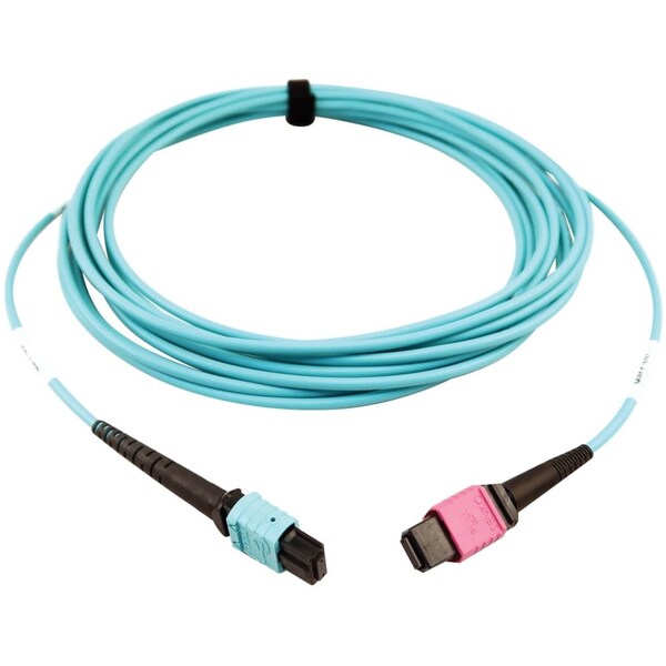 Cable de fibra óptica multimodo 24F Mtp/Mp de Tripp Lite, N846D-05M-24DAQ