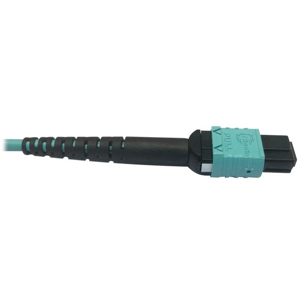 Cable de Fibra Óptica OM4 Plenum Tripp Lite, N846D-05M-24AAQ