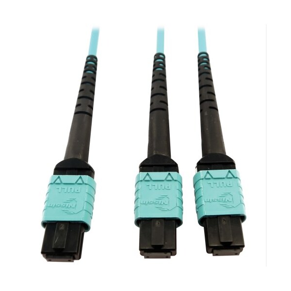 Tripp Lite Mmf Fbr Optic Cable 24F Mtp/Mp, N846D-05M-24BAQ - N846D-05M-24BAQ