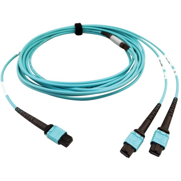 Tripp Lite Mmf Fbr Optic Cable 24F Mtp/Mp, N846D-05M-24BAQ - N846D-05M-24BAQ