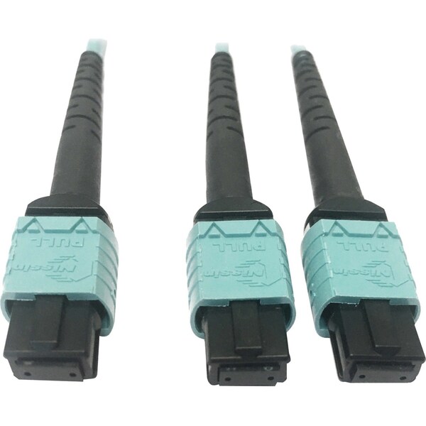 Cable de fibra óptica multimodo Tripp Lite 24F MTP/MP, N846D-03M-24BAQ