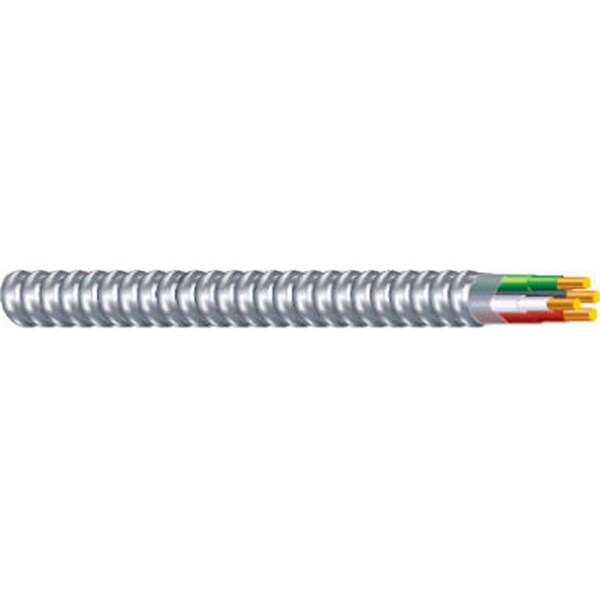 Cable blindado de 50 pies 14-2 ACT de Homepage, cubierta de acero - HO834127