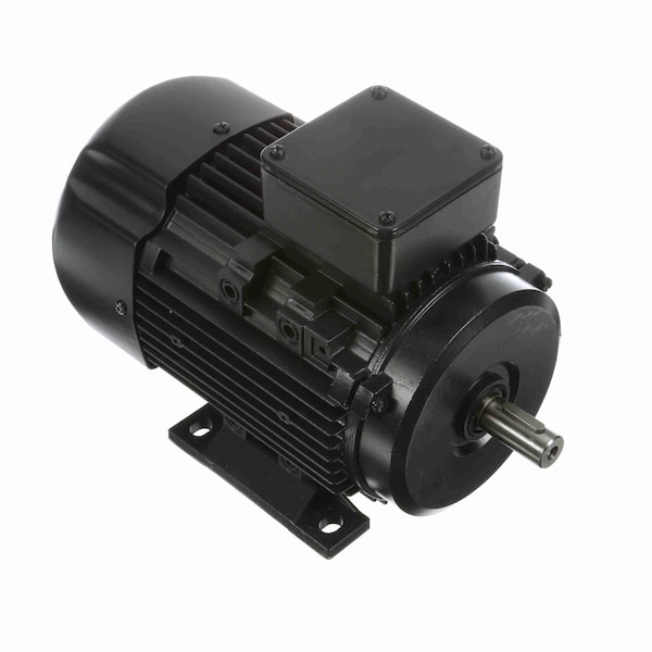 Maratón 1 Hp Propósito General, 3 Fases, 1800 Rpm, 230/460 V, Marco 80, TEFC - R313A