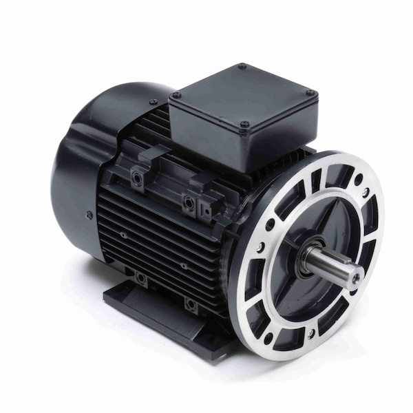 Maratón 3 Hp Propósito General, 3 Fases, 3600 Rpm, 230/460 V, Marco 90L, Tefc - R399A