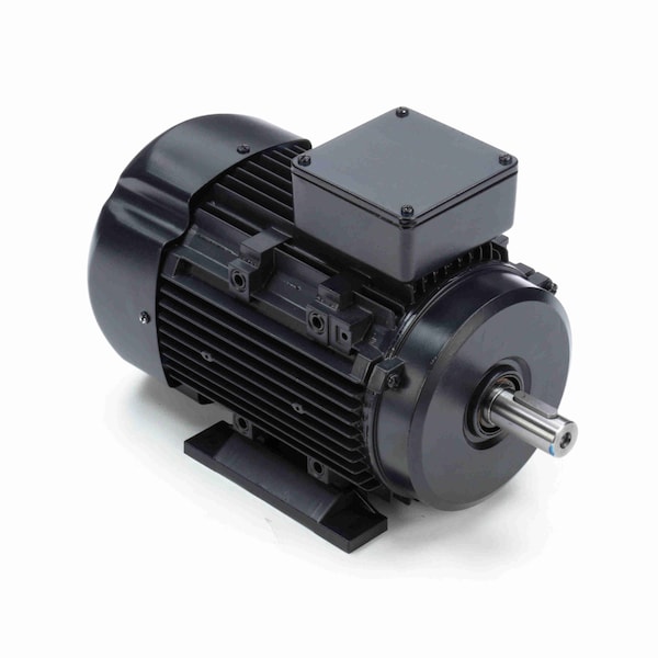 Marathon 2 Hp Propósito General, 3 Fases, 1800 Rpm, 230/460 V, Marco 90L, TEFC - R319A