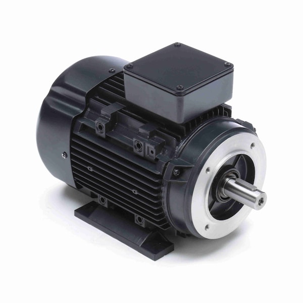 Maratón 3 Hp Uso General, 3 Fases, 3600 Rpm, 230/460 V, Marco 90L, TEFC - R379A