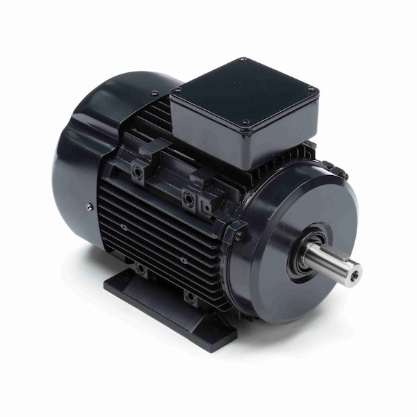 Marathon 3 Hp Propósito General, 3 Fases, 3600 Rpm, 230/460 V, Marco 90L, TEFC - R321A