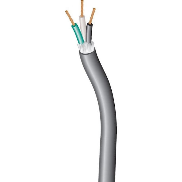 Coleman Cable 12/3 SJEW 300 V 250 ft. L Service Cord - 55039604
