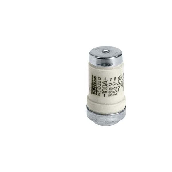 Siemens Neozed Fuse Link 100 Amp 400V - 5SE2300