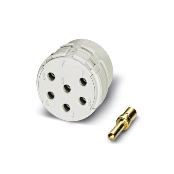 Phoenix Contact RC-16P1N8D0000 Contact insert Number of - 1600747