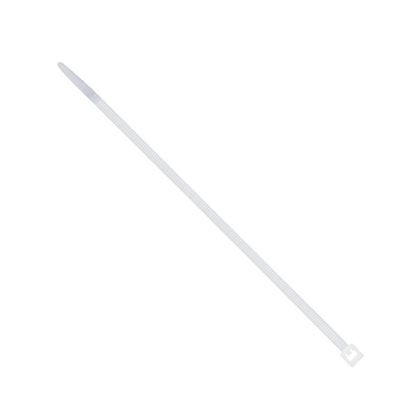 Dottie Cable Tie, 8 in L, 1.97 in Max Bundle Dia., Natural, Nylon 6/6, 50 lb Strength, 100 PK - DT6