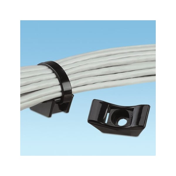 Panduit Cable Tie, Mnt, Eh, #10Scrw, Wrnylon, Bl, PK10 - TMEH-S10-X0