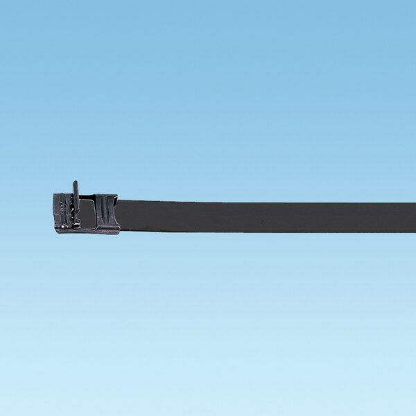 Panduit MS Strapping, 316 SS, Nylon FC, .38" (9.5mm), MSC4W38T15-L6, PK 50 - MSC4W38T15-L6