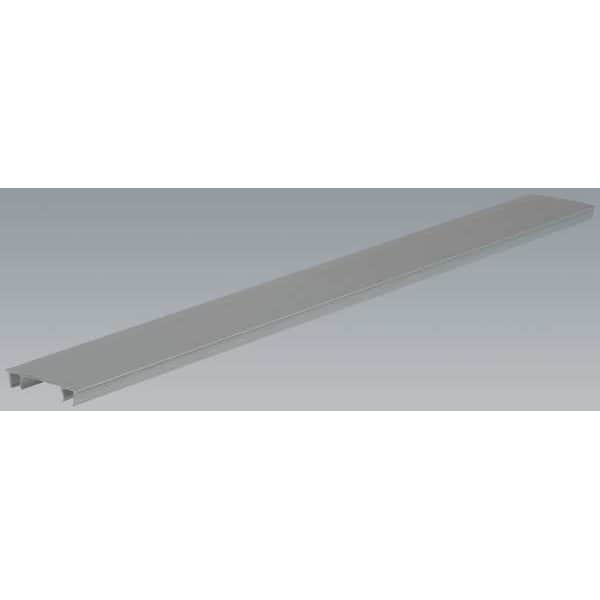 Panduit Wire Duct Cover, Hinging, Gray, L 6 Ft - HC2LG6