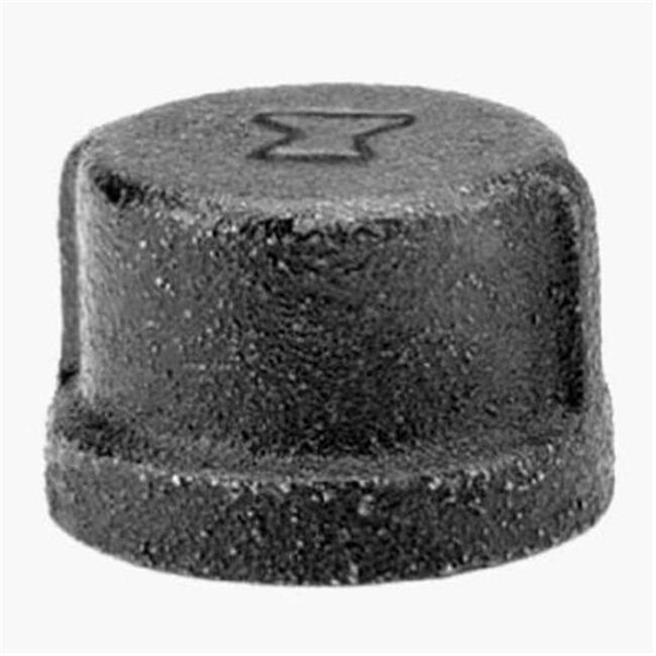 Homecare Products Conduit Fitting Cap, Malleable Iron, Black - HO600072