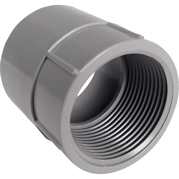 Cantex Cantex 1-1/4 in. D PVC Female Adapter For PVC 1 pk - 5140046C