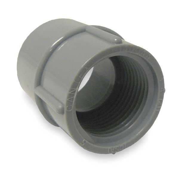 Cantex Conduit Fitting Adapter, 2-1/2 in, Threaded, PVC, PVC Coated - 5140049