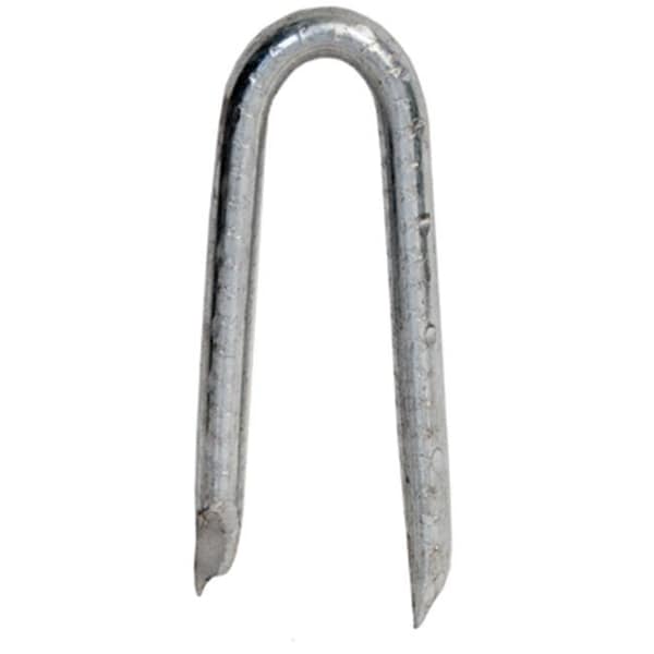 Hillman Hillman Fasteners 461296 0.75 in. Electro Galvanized Poultry Staple - 195802