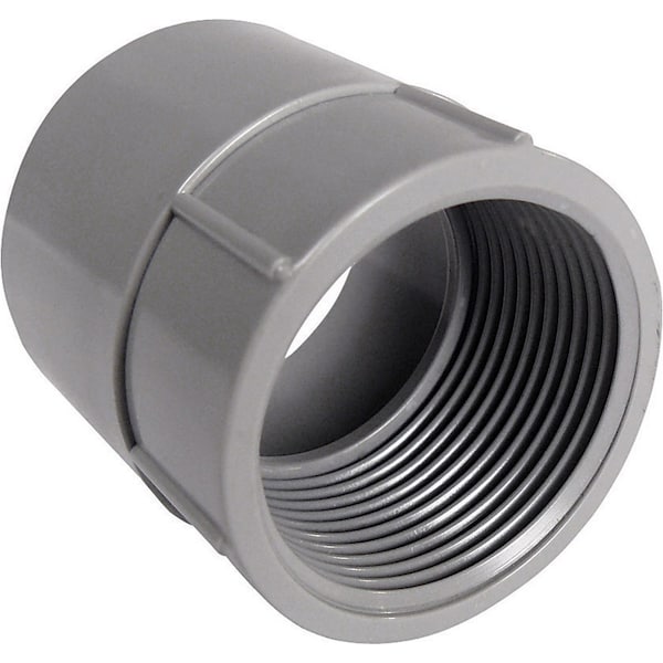 Cantex Cantex 1-1/2 in. D PVC Female Adapter For PVC 1 pk - 5140047C