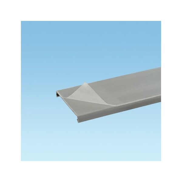 Panduit Flushed Duct Cover, PVC, 0.5" x 1' (6-Pack), Light Gray, Protective Film - C.5LG6-F
