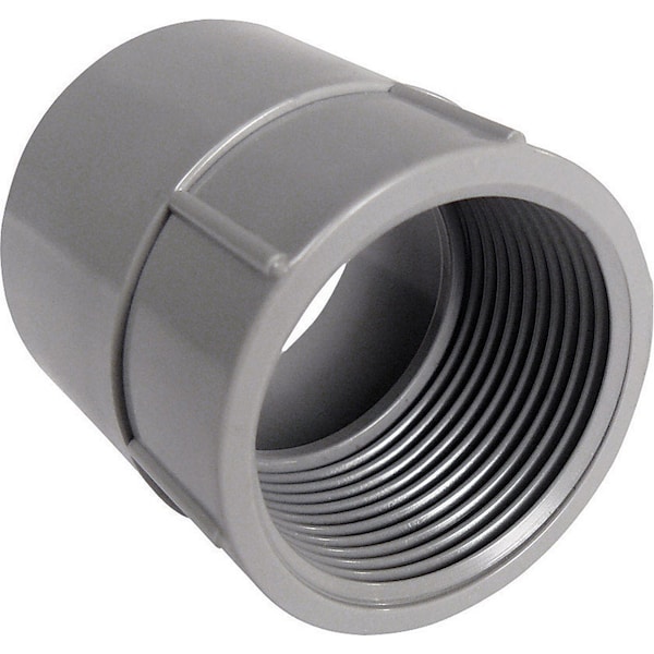 Cantex Cantex 2 in. D PVC Female Adapter For PVC 1 pk - 5140048C