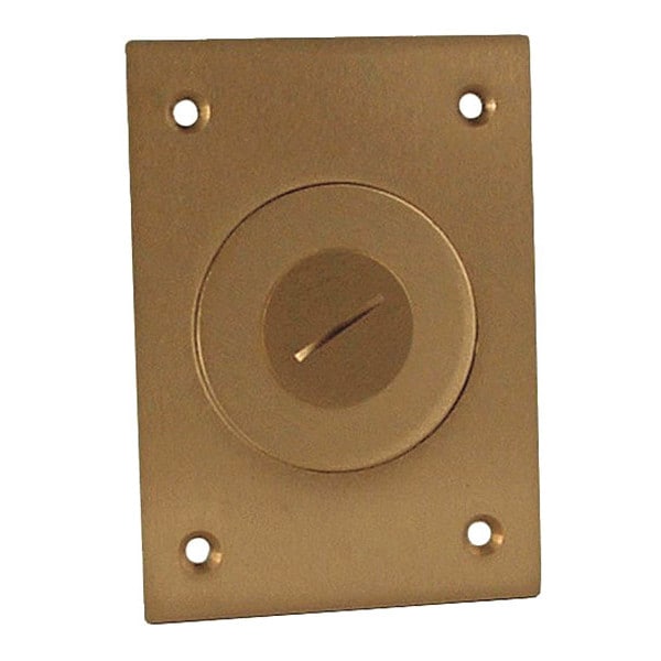 Raco Electrical Box Cover, 1 Gang, Brass, Single Receptacle Cover - 6291