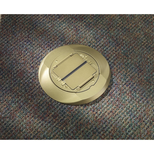 Hubbell Wiring Device-Kellems Electrical Box Cover, 2 Gangs, Aluminum, Flush Cover - S1CFCBRS