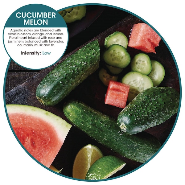 Fresh Products myfresh Refills, Cucumber Melon, 36PK - MYF-F-006I036M-02
