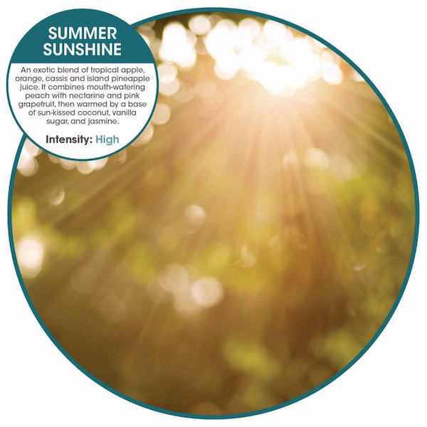 Fresh Products ourfreshE Refills, Summer Sunshine, PK6 - OFENB-F-006I036M-25