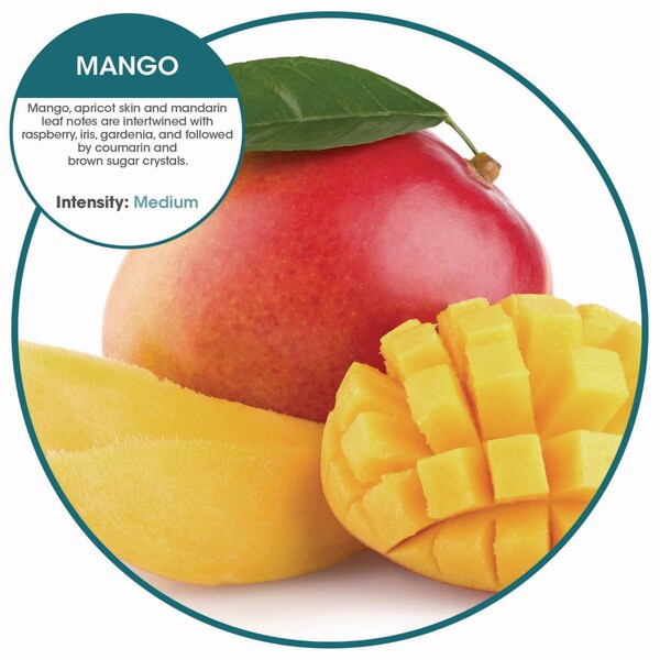 Fresh Products ourfresh Airfreshener, Mango, PK8 - OFB-F-008I048M-04