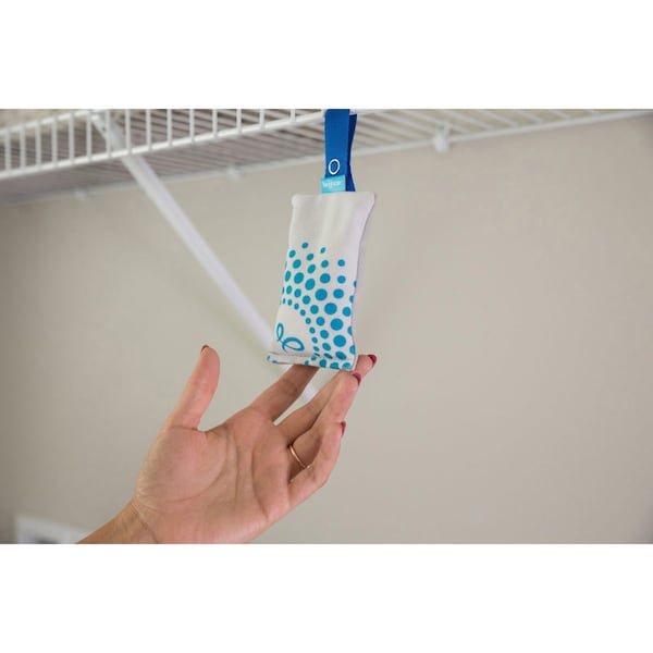 Bright Air Odor Eliminator Sachets, Meadow Breeze, , MI, PK 2 - BRI900610