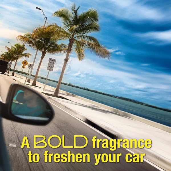 California Scents California Scents Fruity Scent Car Air Freshener 1.4 oz Solid - CSCF12TRY182