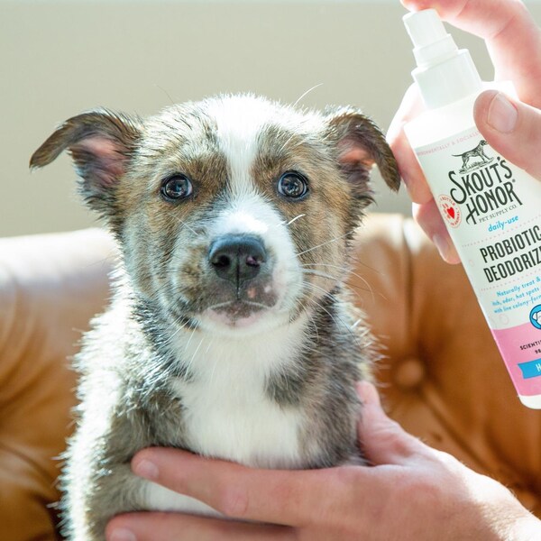 Skouts Honor Lilac and Linen Cat/Dog Deodorizing Spray 8 oz - SH21LDHP8