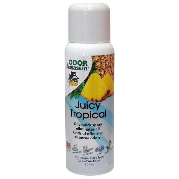 Odor Assasin 124951 Odor Eliminator, 6 oz Can - 11149