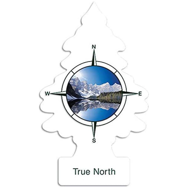 Car Freshner Little Trees Air Fresheners, True North - CA323312